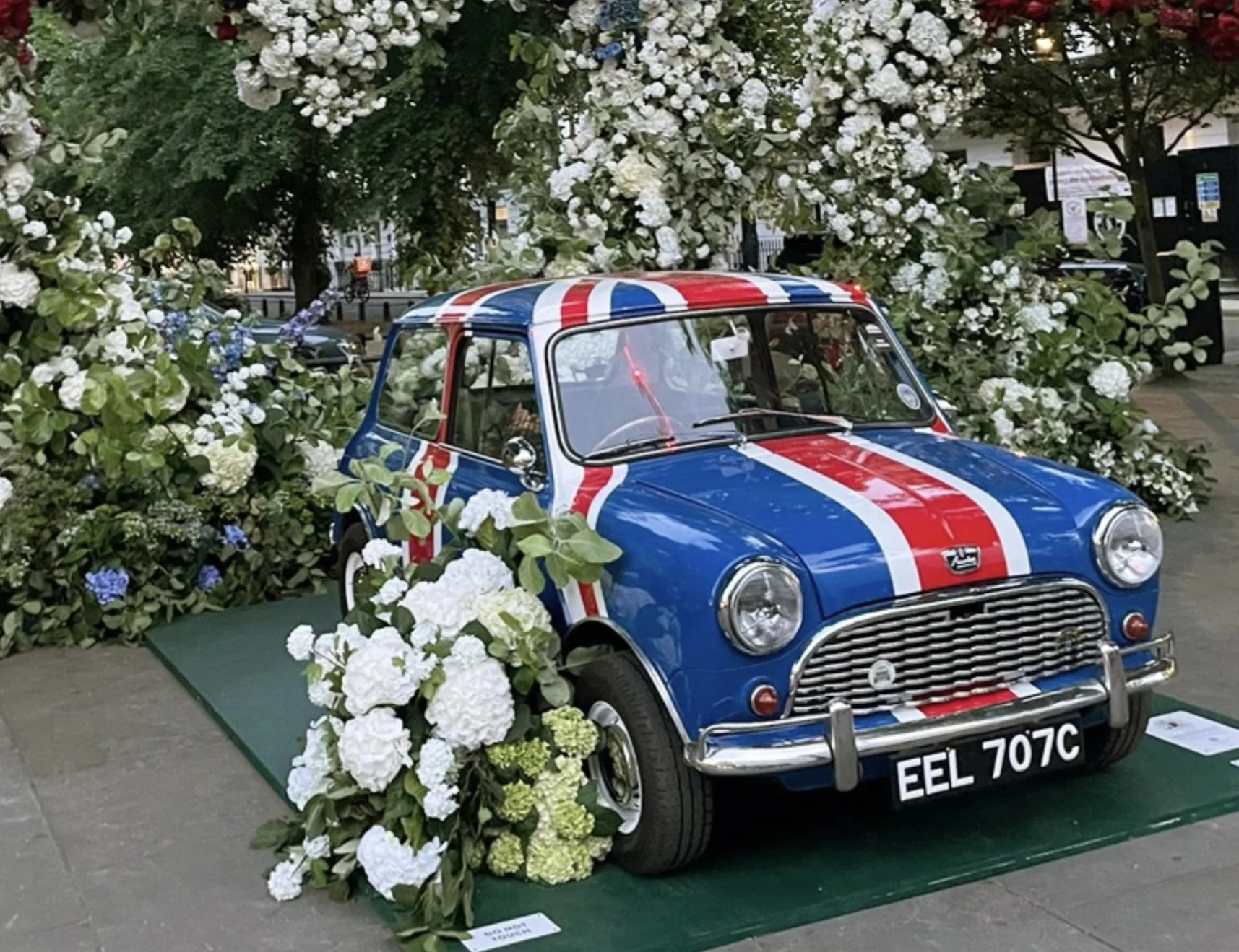jack mini floral launch